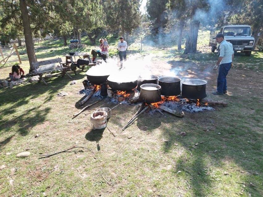 Bağışıklık sistemini güçlendiriyor, astım ve bronşite iyi geliyor! Toros Dağı zirvesinden Türkiye'ye yayılan şifa