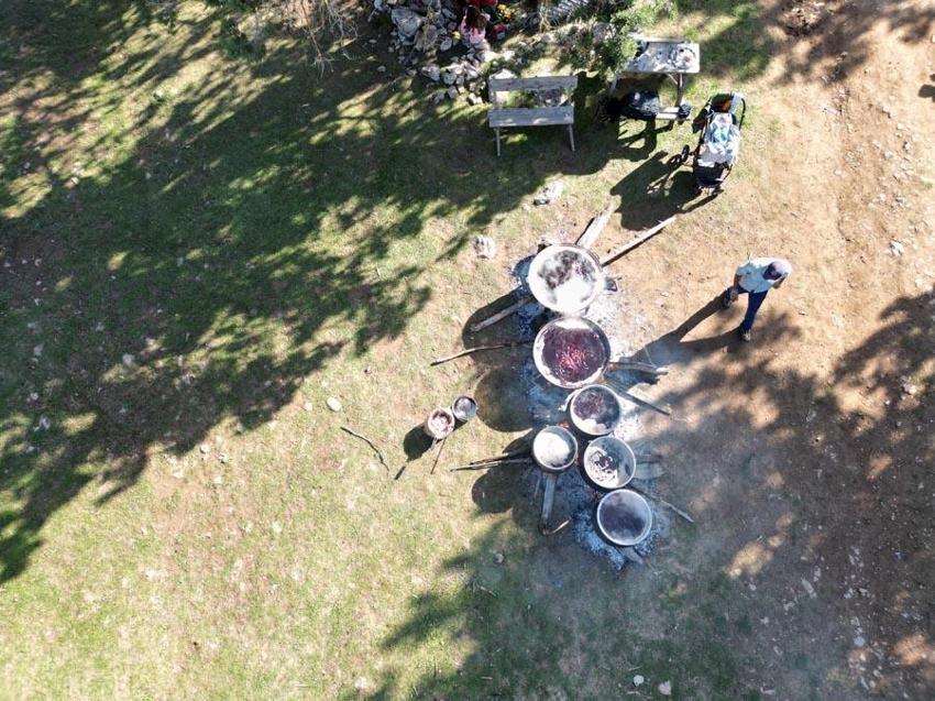 Bağışıklık sistemini güçlendiriyor, astım ve bronşite iyi geliyor! Toros Dağı zirvesinden Türkiye'ye yayılan şifa