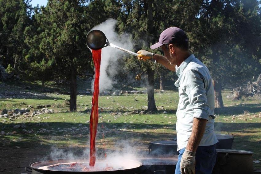 Bağışıklık sistemini güçlendiriyor, astım ve bronşite iyi geliyor! Toros Dağı zirvesinden Türkiye'ye yayılan şifa