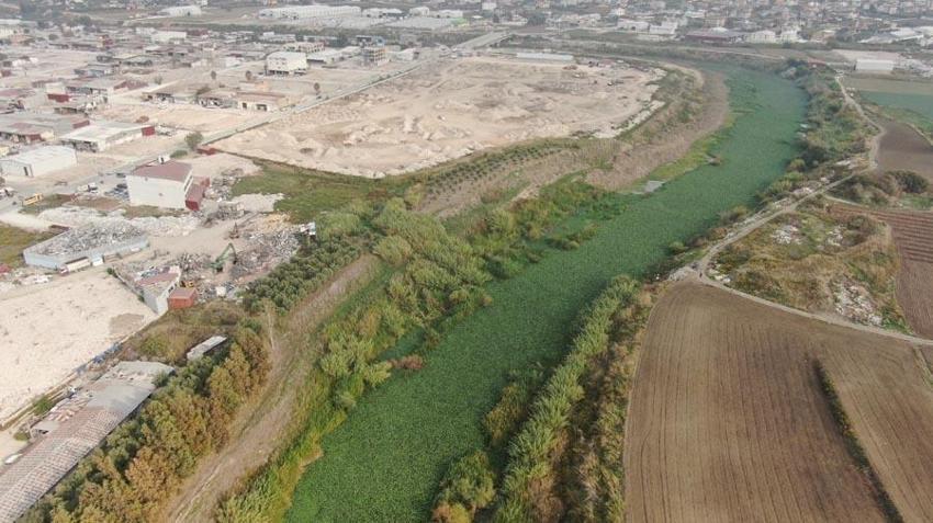 Hatay'da inanılmaz görüntü! Asi Nehri yeşile döndü, su adeta görünmez hale geldi