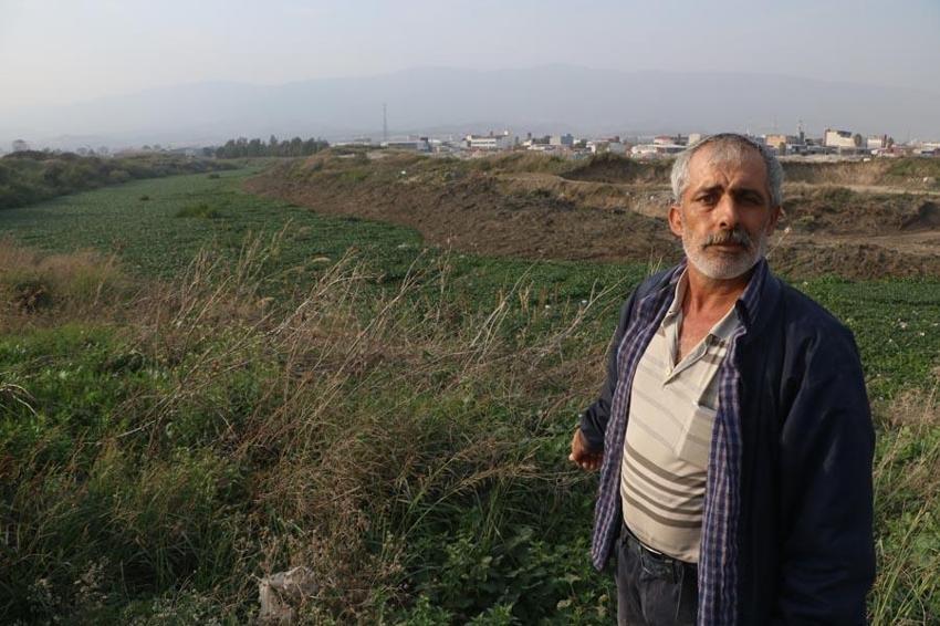 Hatay'da inanılmaz görüntü! Asi Nehri yeşile döndü, su adeta görünmez hale geldi