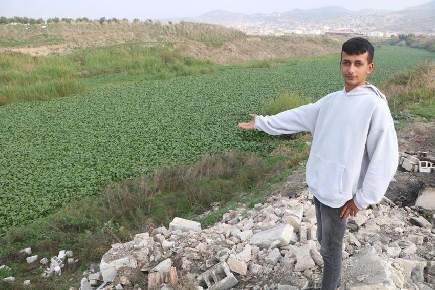 Hatay'da inanılmaz görüntü! Asi Nehri yeşile döndü, su adeta görünmez hale geldi