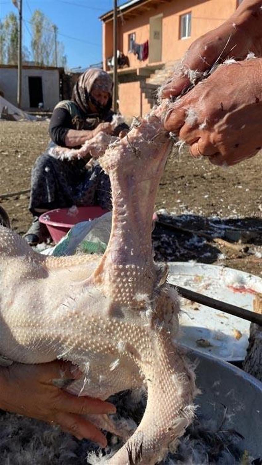 Kars kazının çöpe atılan hiçbir parçası yok! Tanesi 1200 TL’den satılıyor