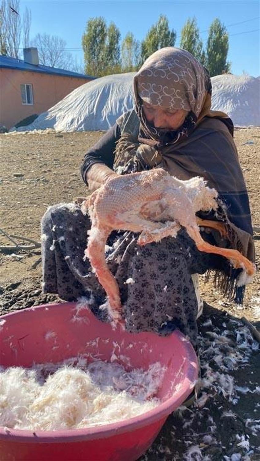 Kars kazının çöpe atılan hiçbir parçası yok! Tanesi 1200 TL’den satılıyor