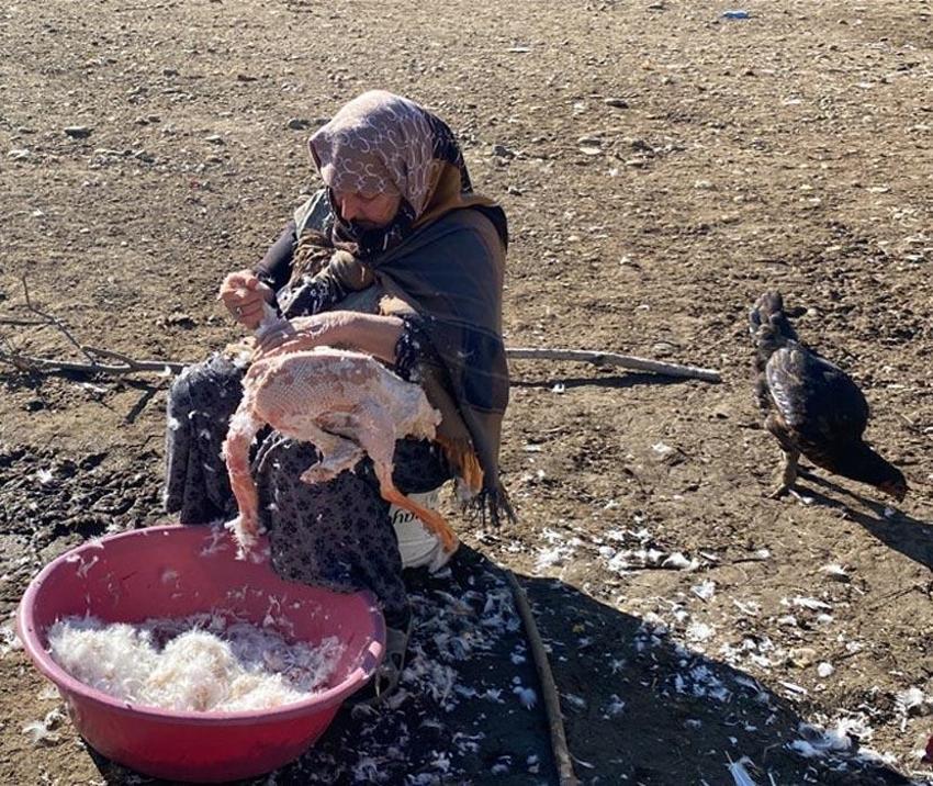 Kars kazının çöpe atılan hiçbir parçası yok! Tanesi 1200 TL’den satılıyor