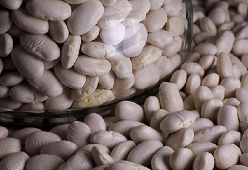 100 yaşını görmek hayal değil, altın değerinde bilgi! İşte uzun yaşamın herkesten saklanan anahtarı