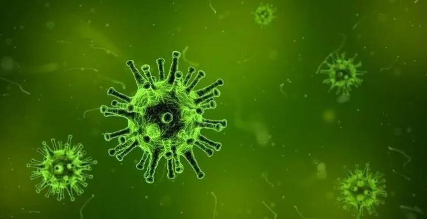 Erkek katili virüs keşfedildi! Japon bilim insanları açıkladı: Bu virüs kadınlara dokunmuyor!