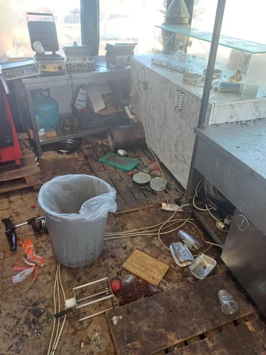 Bursa'da aç kalan ayılar restoran ve marketleri talan etti