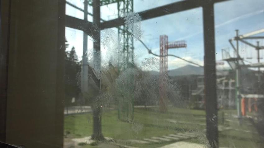 Bursa'da aç kalan ayılar restoran ve marketleri talan etti