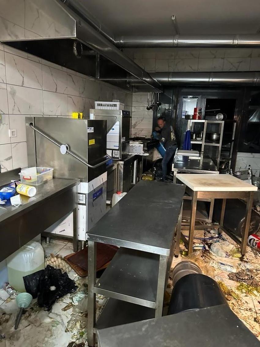 Bursa'da aç kalan ayılar restoran ve marketleri talan etti