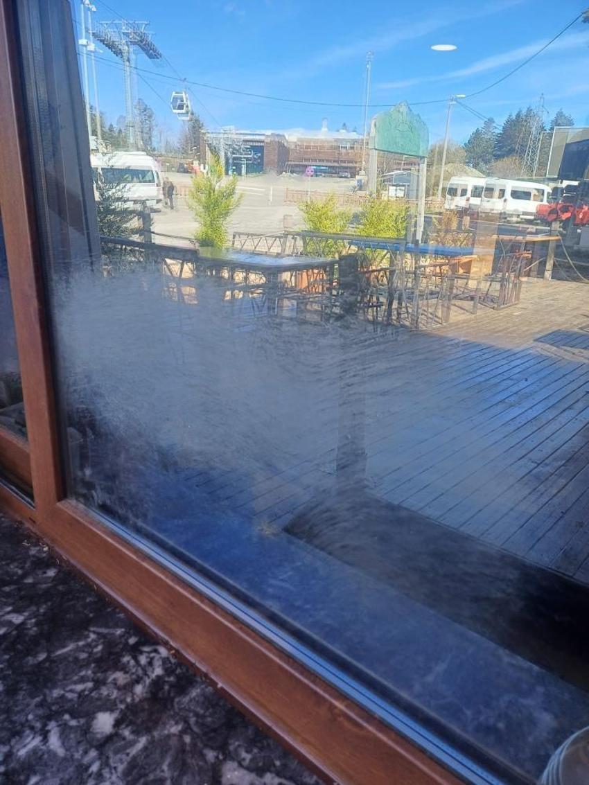 Bursa'da aç kalan ayılar restoran ve marketleri talan etti