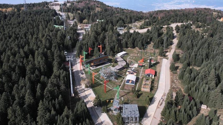 Bursa'da aç kalan ayılar restoran ve marketleri talan etti