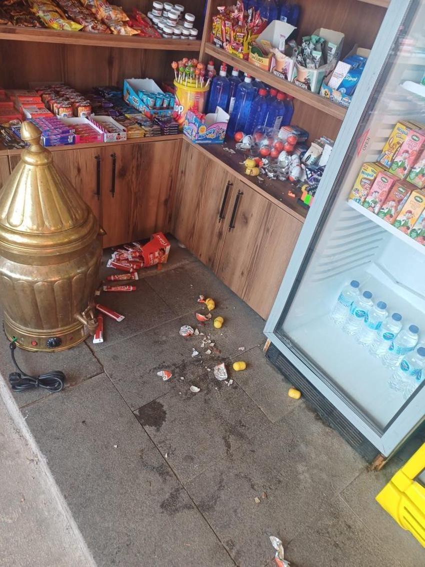 Bursa'da aç kalan ayılar restoran ve marketleri talan etti