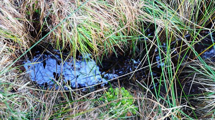 Petrol heyecanı! Adeta her yerden fışkırıyor