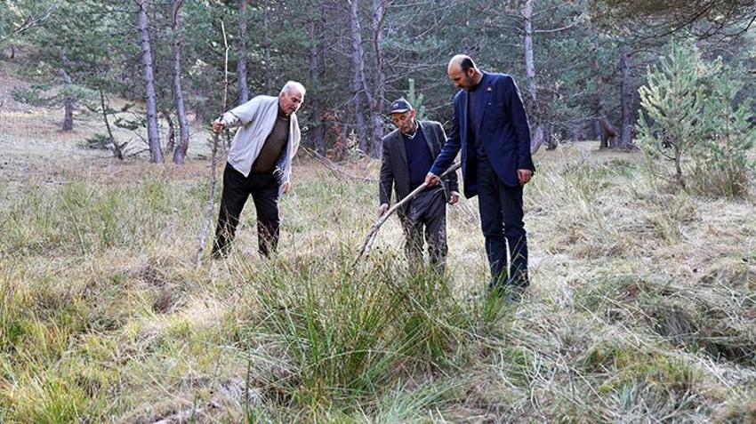 Petrol heyecanı! Adeta her yerden fışkırıyor
