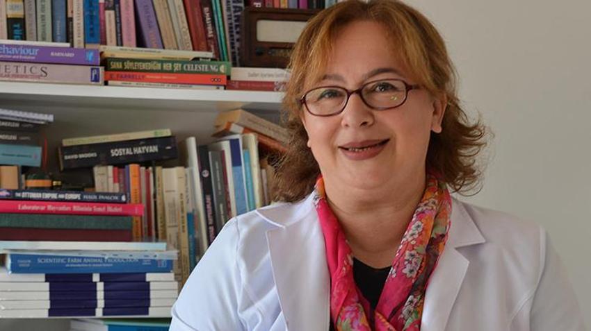 'Cenin olacaksın, sen de esne...' Hepsini unutun, işte köpek saldırısına karşı tek çözüm