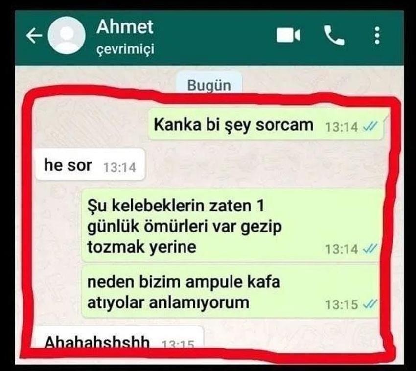 Sosyal medyada gündem olan WhatsApp mesajları ortaya çıktı!