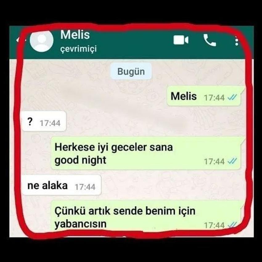 Sosyal medyada gündem olan WhatsApp mesajları ortaya çıktı!