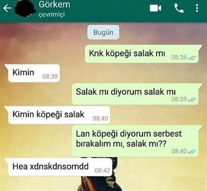 Sosyal medyada gündem olan WhatsApp mesajları ortaya çıktı!