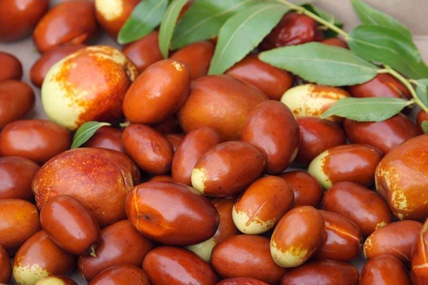 Antioksidan kaynağı vücut sağlığını koruyor kilo verdiriyor! Uzak Doğu'da çok yaygın Adana ve Antalya'da yetişiyor