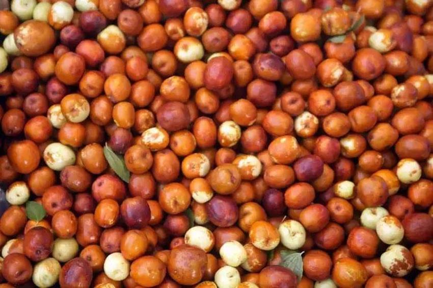 Antioksidan kaynağı vücut sağlığını koruyor kilo verdiriyor! Uzak Doğu'da çok yaygın Adana ve Antalya'da yetişiyor