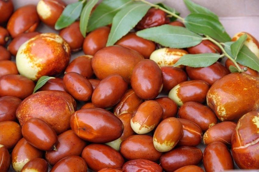 Antioksidan kaynağı vücut sağlığını koruyor kilo verdiriyor! Uzak Doğu'da çok yaygın Adana ve Antalya'da yetişiyor