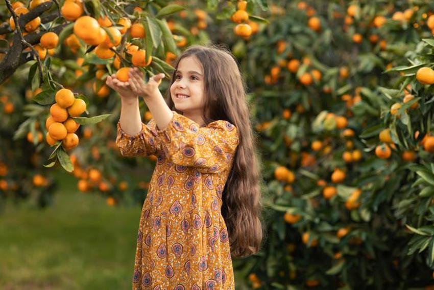 Mevsimi geldi, faydaları saymakla bitmiyor! Kolajen üretimini teşvik ediyor, UV hasarına karşı koruyor, beta-karoten içeriğiyle kırışıklıkları yok ediyor