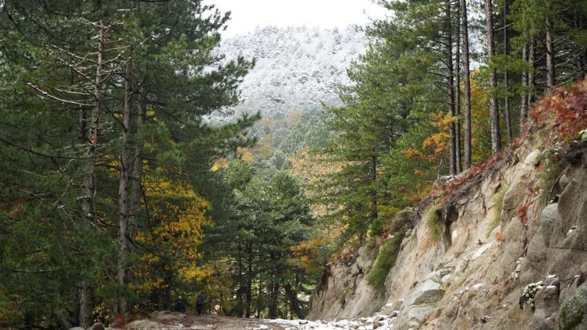 Yurtta kar ve fırtına etkisi! Yollar kapalı, okullar tatil