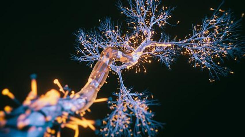 Vücudunuz Alzheimer'ı 15 yıl önceden haber veriyor! Hemen kontrol edin