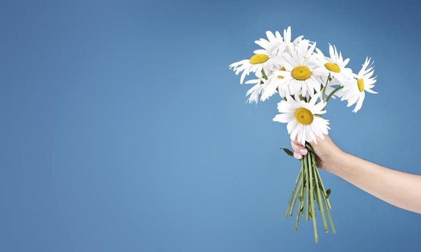 Öğretmene kısa duygusal 24 Kasım Öğretmenler Günü mesajı! Yeni öğretmenlere, atanamayan öğretmenler kısa, öz, duygusal anlamlı öğretmenler günü mesajları ve sözleri