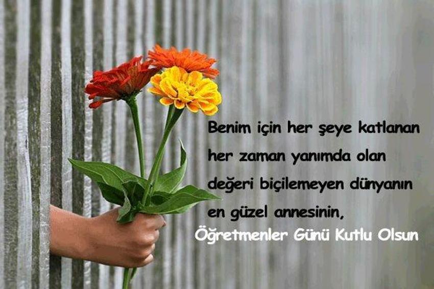 24 Kasım anlamlı Öğretmenler Günü mesajları: Fen, Türkçe, Fizik, Matematik öğretmenine Öğretmenler Günü mesajı