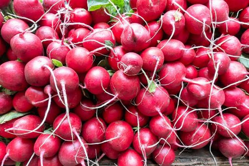 Resmen kanser savar! Karaciğerde leke bırakmıyor, tertemiz yapıyor, günde 1 porsiyon tüketmek yetiyor