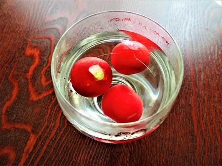 Resmen kanser savar! Karaciğerde leke bırakmıyor, tertemiz yapıyor, günde 1 porsiyon tüketmek yetiyor
