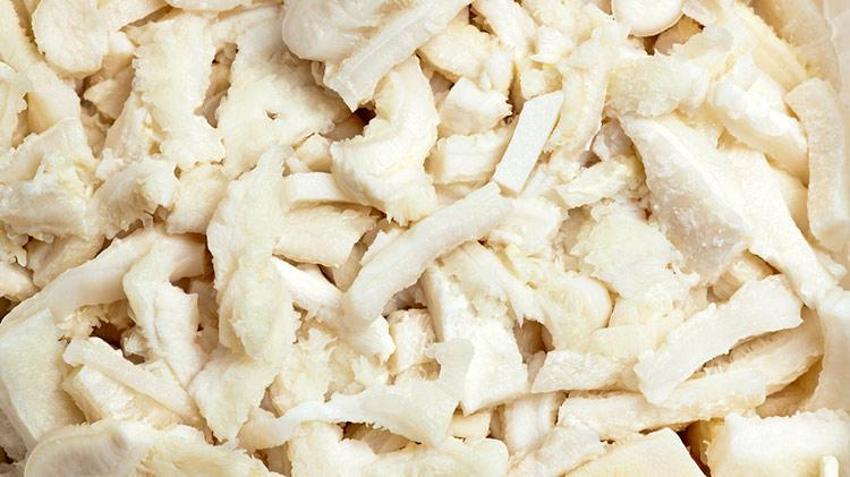 Doğal antibiyotik! Enfeksiyonun kökünü kazıyor, faydaları saymakla bitmiyor