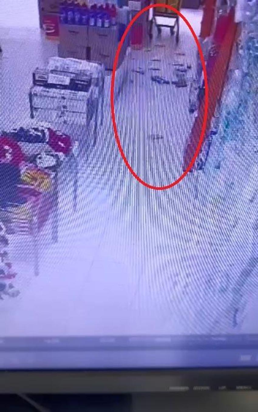 Gemlik'te 5.1 büyüklüğünde deprem! İstanbul ve İzmir’den de hissedilen deprem vatandaşları korkuttu