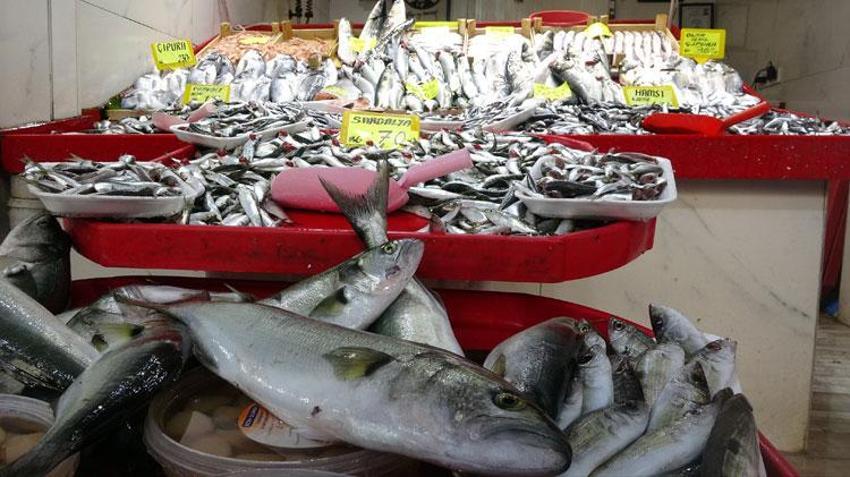 Havalar soğumadı balık akını bitti, lüferin kilosu 350 liradan 750 liraya çıktı
