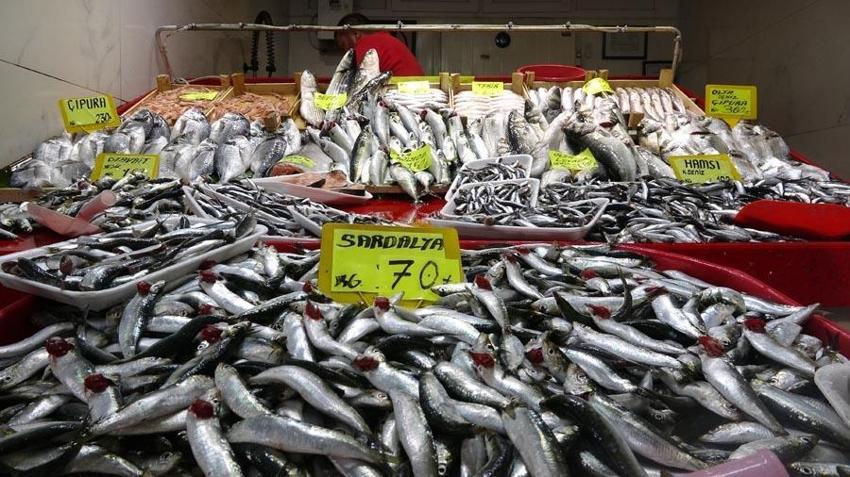 Havalar soğumadı balık akını bitti, lüferin kilosu 350 liradan 750 liraya çıktı