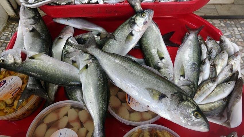 Havalar soğumadı balık akını bitti, lüferin kilosu 350 liradan 750 liraya çıktı