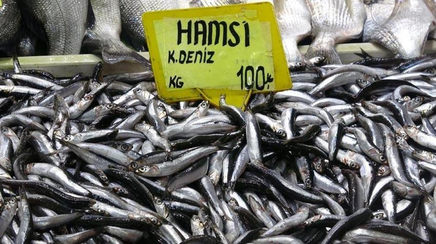 Havalar soğumadı balık akını bitti, lüferin kilosu 350 liradan 750 liraya çıktı