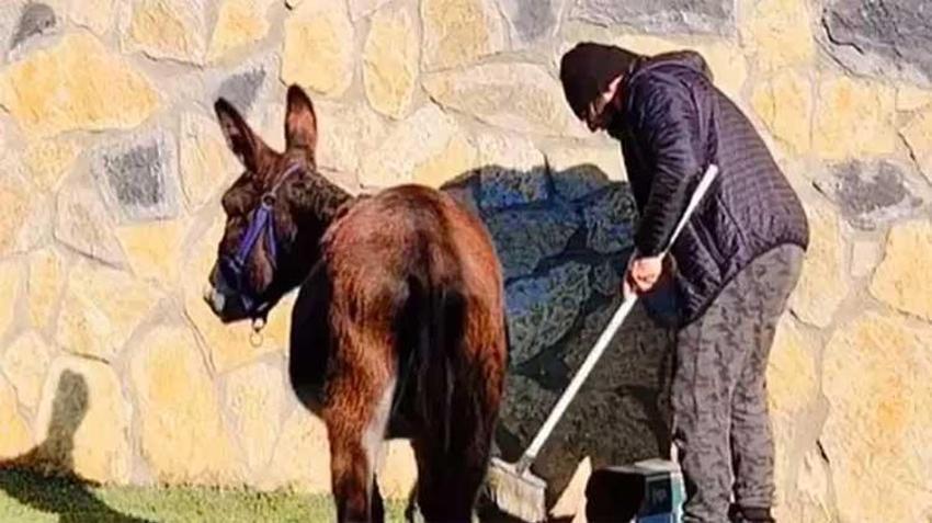 İstanbul'u terk edip köye yerleşti! Ünlü sanatçıyı görenler tanıyamıyor