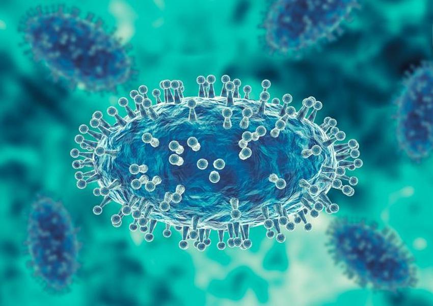 MAYMUN ÇİÇEĞİ BELİRTİLERİ | (MPOX) Maymun Çiçeği Virüsü nedir, nasıl geçer ve bulaşır?