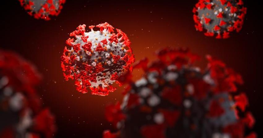 MAYMUN ÇİÇEĞİ BELİRTİLERİ | (MPOX) Maymun Çiçeği Virüsü nedir, nasıl geçer ve bulaşır?
