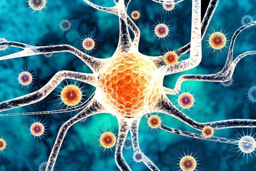 MAYMUN ÇİÇEĞİ BELİRTİLERİ | (MPOX) Maymun Çiçeği Virüsü nedir, nasıl geçer ve bulaşır?