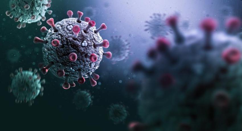 MAYMUN ÇİÇEĞİ BELİRTİLERİ | (MPOX) Maymun Çiçeği Virüsü nedir, nasıl geçer ve bulaşır?
