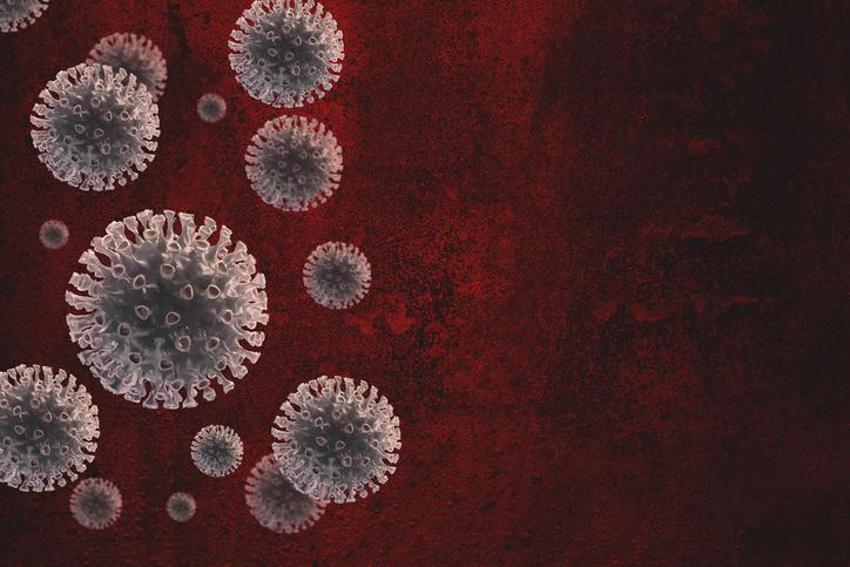 MAYMUN ÇİÇEĞİ BELİRTİLERİ | (MPOX) Maymun Çiçeği Virüsü nedir, nasıl geçer ve bulaşır?
