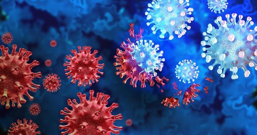 MAYMUN ÇİÇEĞİ BELİRTİLERİ | (MPOX) Maymun Çiçeği Virüsü nedir, nasıl geçer ve bulaşır?