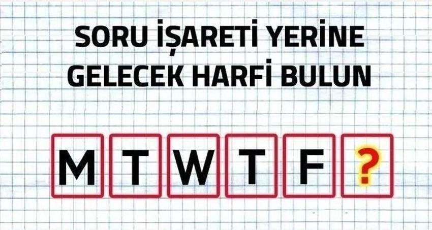 Resimdeki atların sayısını sosyal medyayı ikiye böldü! Sizce resimde kaç tane at var?