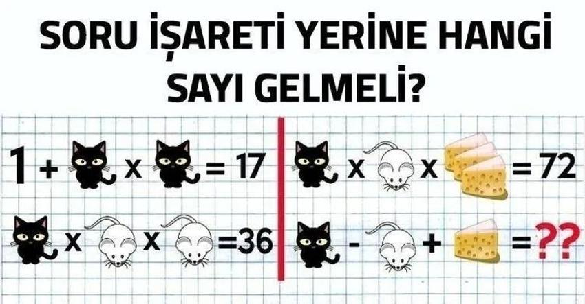 Resimdeki atların sayısını sosyal medyayı ikiye böldü! Sizce resimde kaç tane at var?