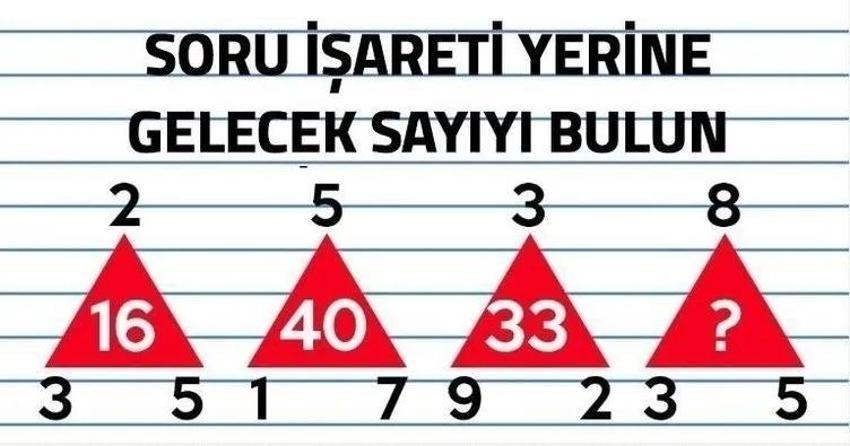 Resimdeki atların sayısını sosyal medyayı ikiye böldü! Sizce resimde kaç tane at var?