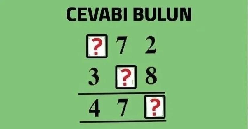 Resimdeki atların sayısını sosyal medyayı ikiye böldü! Sizce resimde kaç tane at var?